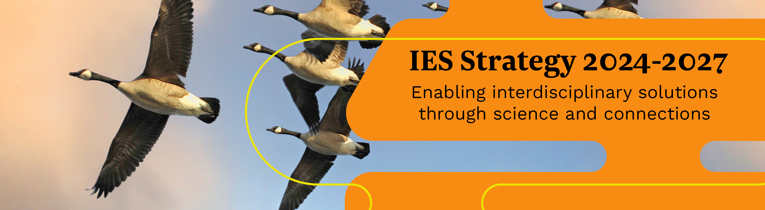 orange banner with geese flying. text: ies strategy 2024-27