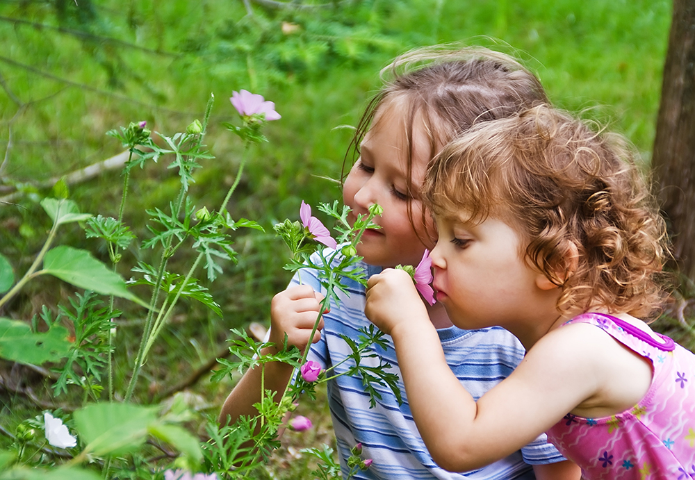 Two children smelling a flower from a hedgerow