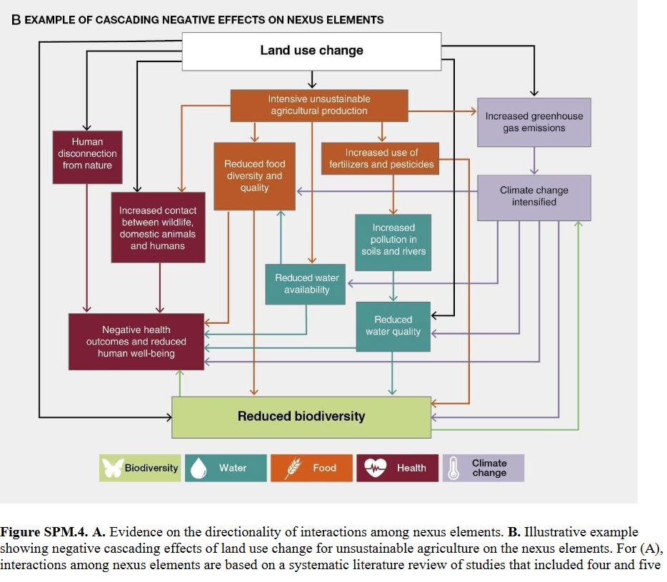 Figure SPM4.B, illustrating negative cascading effects of land use change