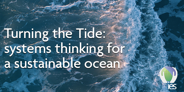 IES launches new collaborative project ‘Turning the Tide: systems ...