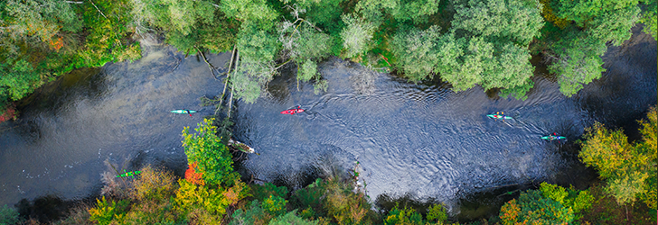 Photo of kayakers going down a river flanked by woodland taken from above.