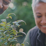 Young people planting seeds