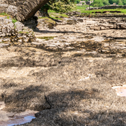 UK river experiencing drought