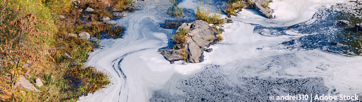 A photo of a river's edge with foam pollution visible on the surface of the water