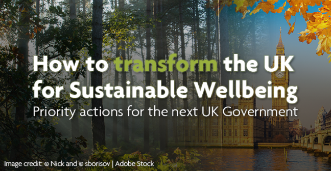 Woodland fading into UK Parliament with overlaid text "How to transform the UK for sustainable wellbeing: Priority actions for the next UK Government"