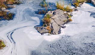 A photo of a river's edge with foam pollution visible on the surface of the water