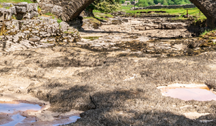 UK river experiencing drought